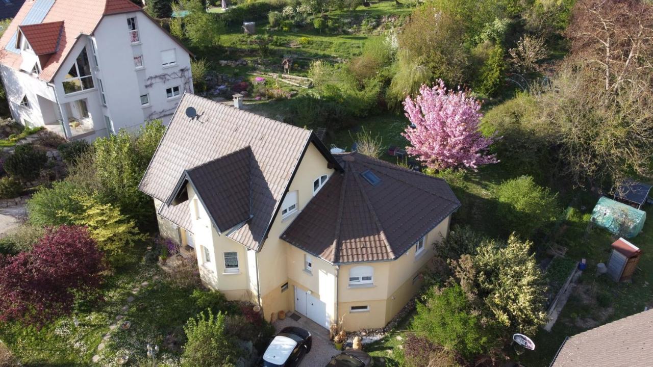 Chez Olivier Et Josette Sur Mulhouse Sud Apartment Illfurth Exterior photo