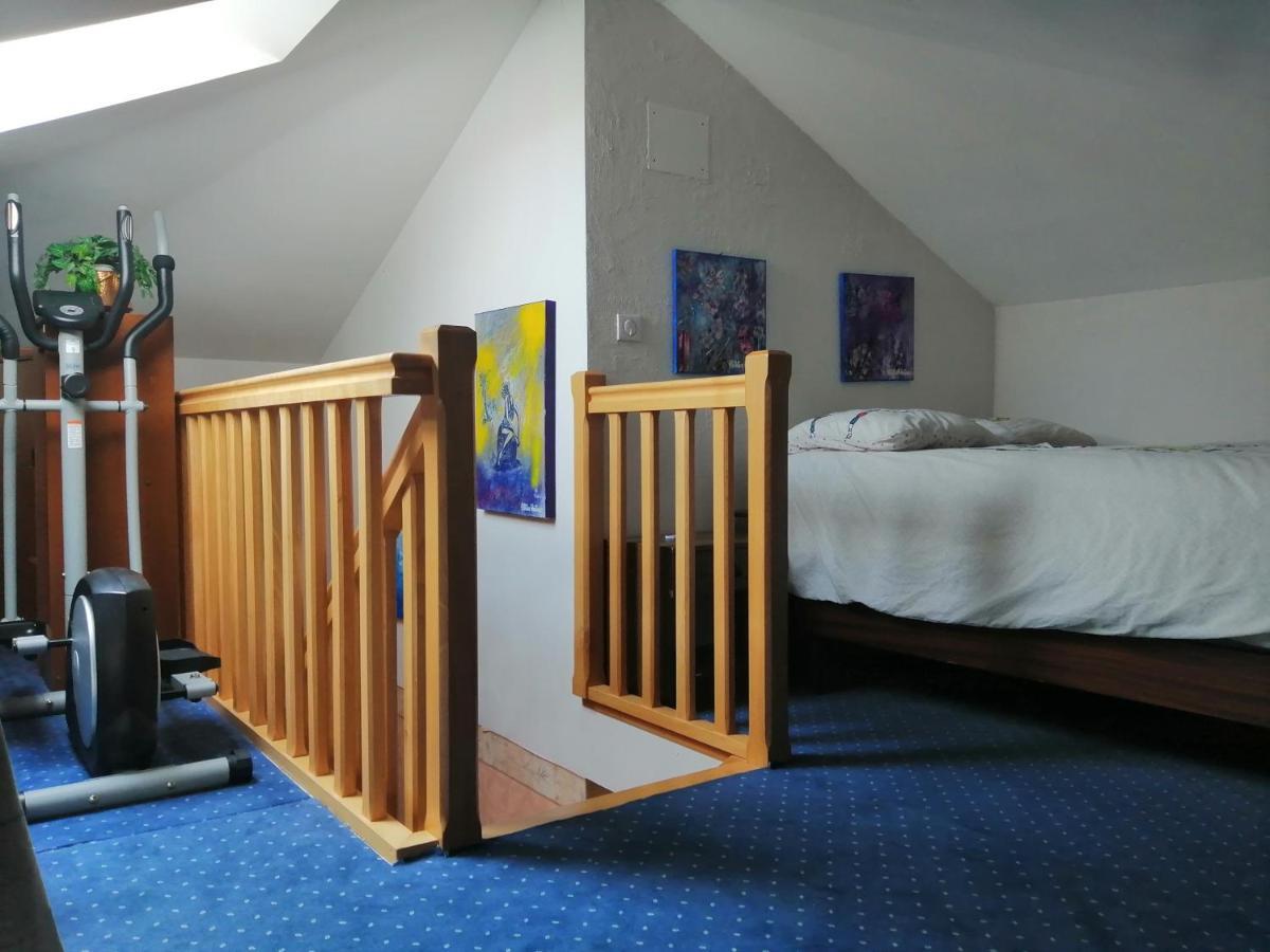 Chez Olivier Et Josette Sur Mulhouse Sud Apartment Illfurth Exterior photo